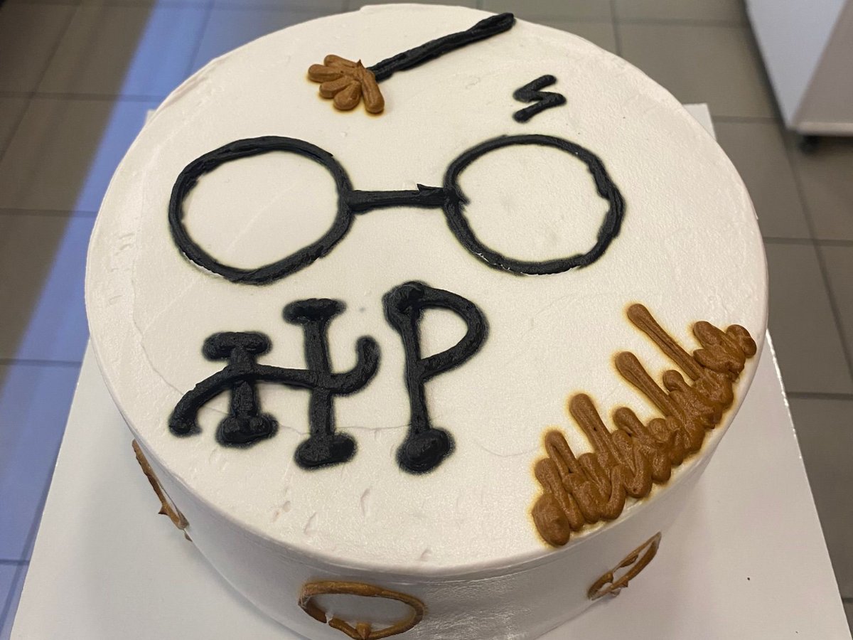 Harry Potter Desenli Pasta